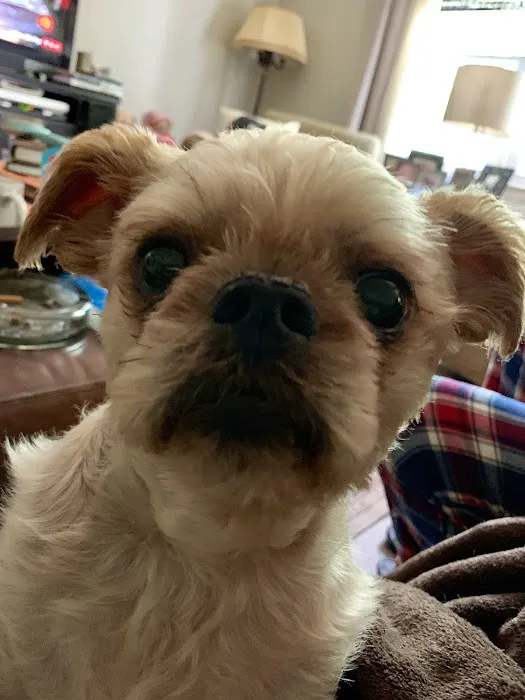 Apple Valley Veterinarians, LLC Picture 6