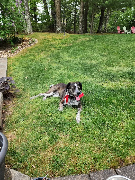 Apple Valley Veterinarians, LLC Picture 9