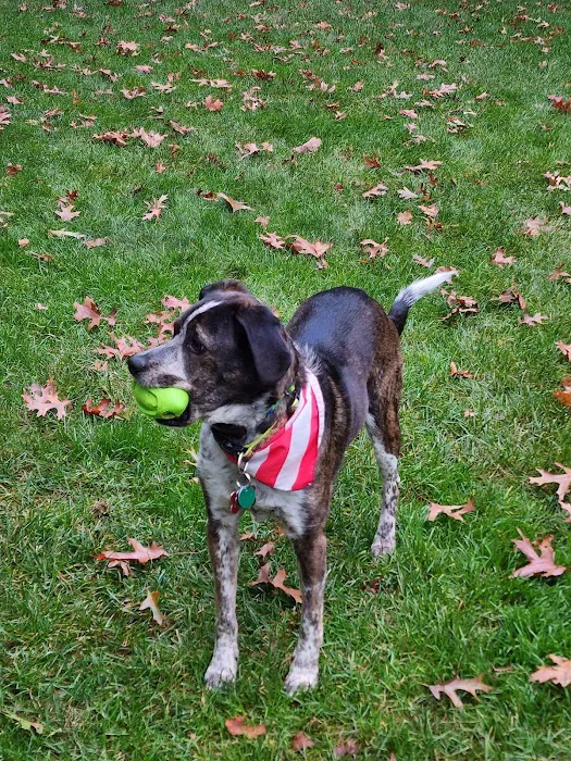 Apple Valley Veterinarians, LLC Picture 10