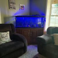 J S K's Fish & More ico