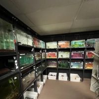 Uncle Ben's Pets ico