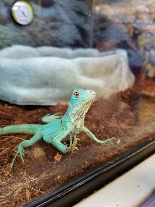 Petco Picture 8