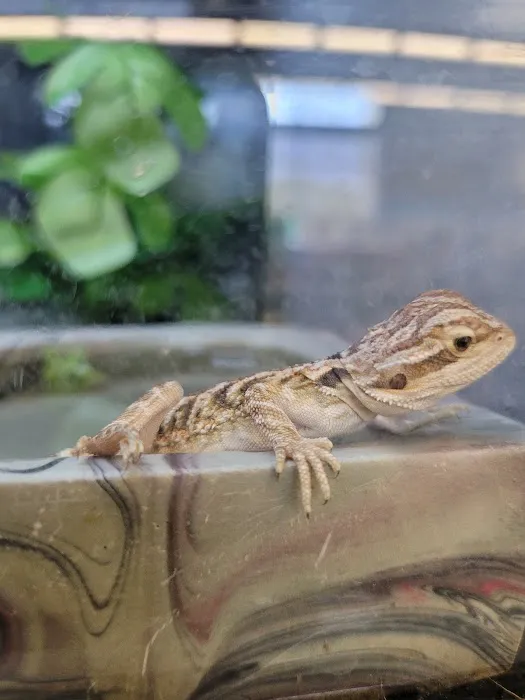 Petco Picture 4