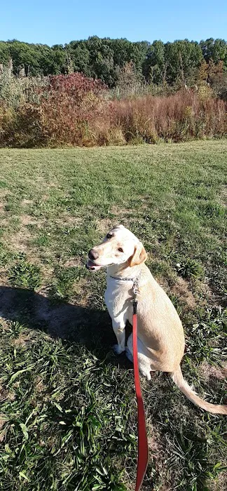 Mountain Lore Animal Hospital Picture 1