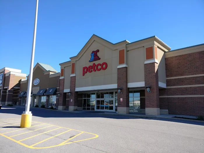 Petco Picture 2