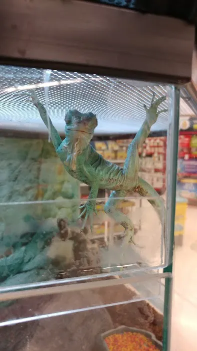 Petco Picture 3