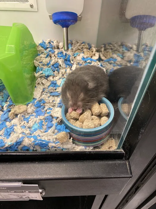 Petco Picture 7