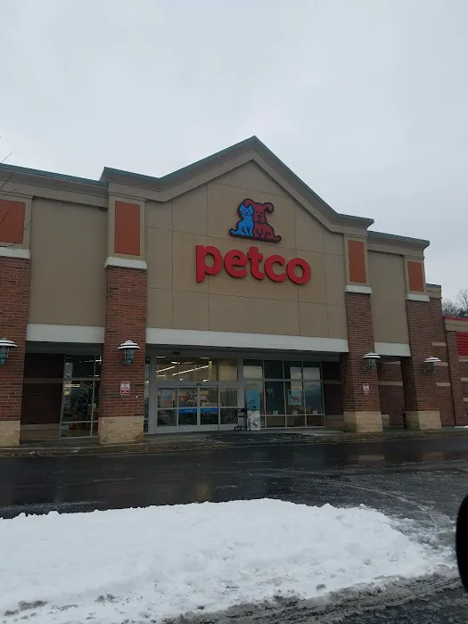 Petco Picture 8