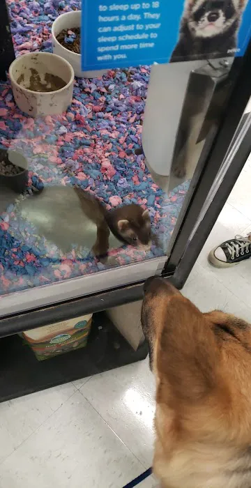 Petco Picture 4