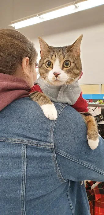 Petco Picture 6