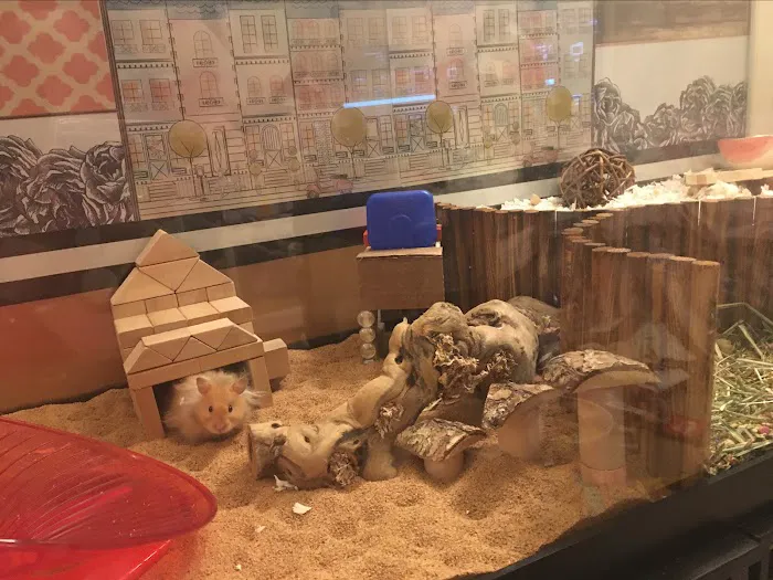 Petco Picture 5