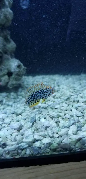 SALTWATER SHACK Picture 8