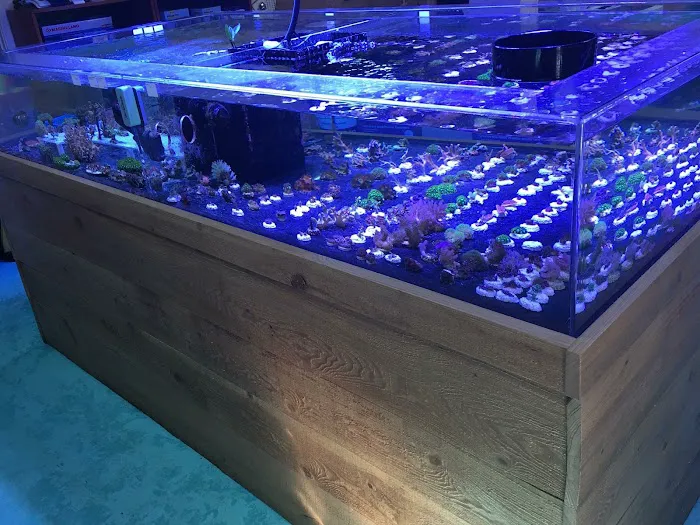 SALTWATER SHACK Picture 9
