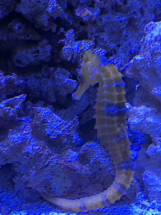 SALTWATER SHACK Picture 5