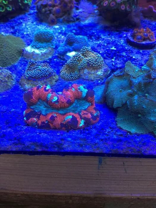 SALTWATER SHACK Picture 1