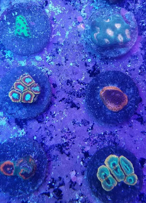 SALTWATER SHACK Picture 6
