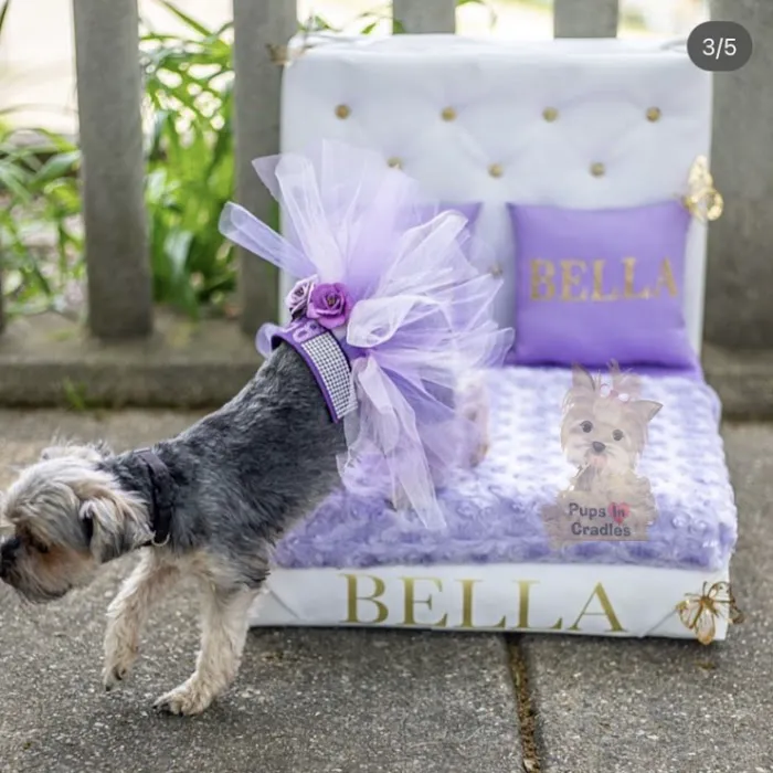 Pups In Cradle Picture 6