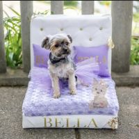 Pups In Cradle ico