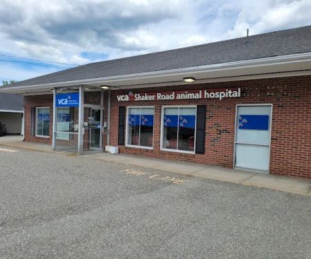 VCA Shaker Road Animal Hospital