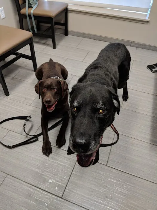 VCA Shaker Road Animal Hospital Picture 3