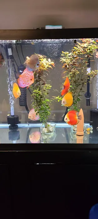 Ava's Aquarium Services Picture 1
