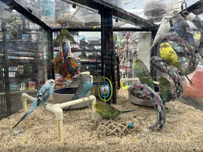 Pet Supermarket Picture 5