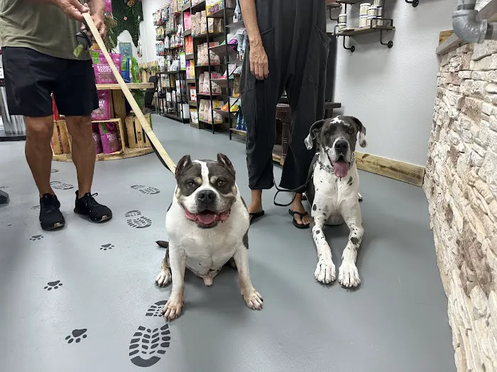 The K9 Shop Picture 6