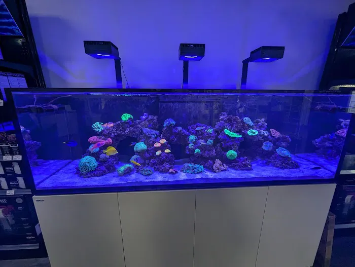Aquariums, Inc. Picture 2