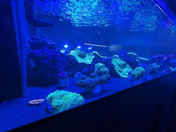 Aquariums, Inc. Picture 4