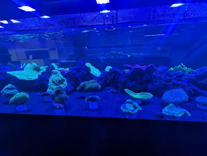 Aquariums, Inc. Picture 3