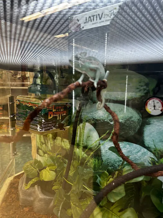 Petco Picture 2