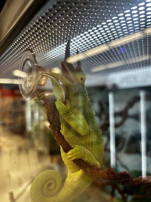 Petco Picture 7