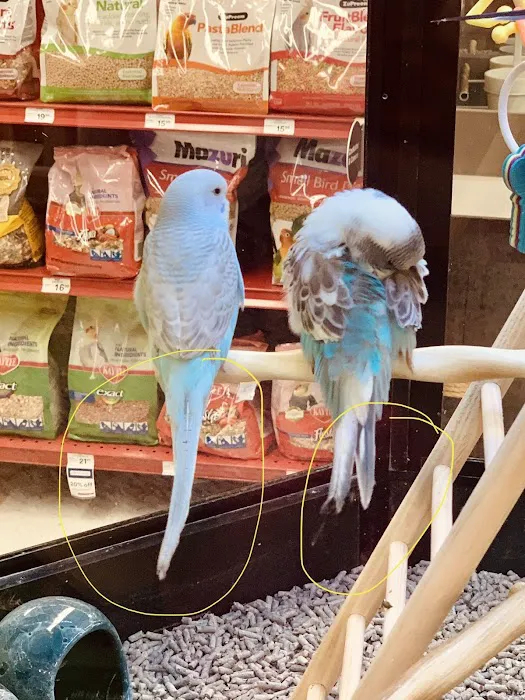 Petco Picture 5