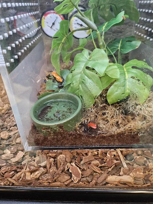 Petco Picture 3