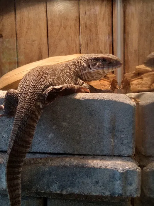 Petco Picture 10