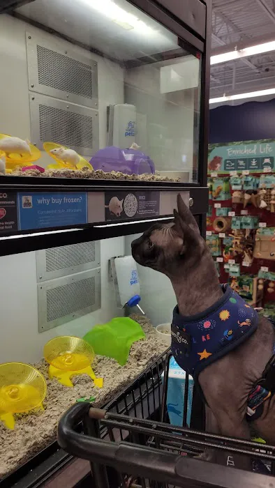 Petco Picture 8