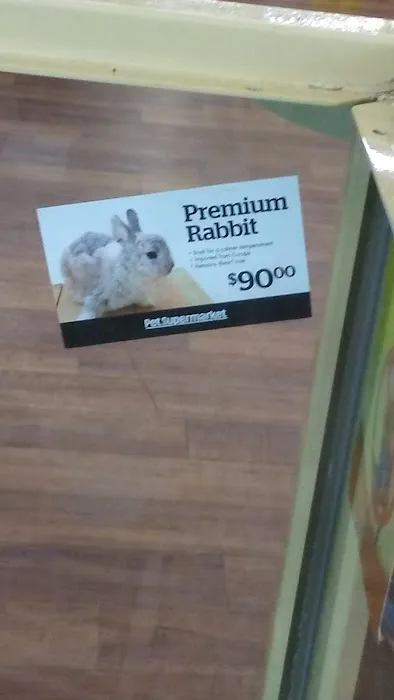 Pet Supermarket Picture 9