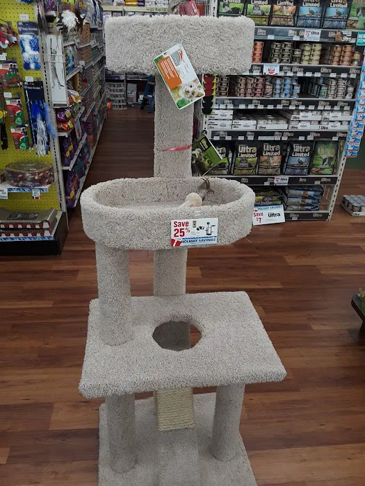 Pet Supermarket Picture 3