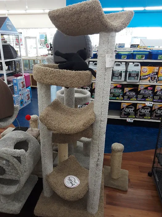 Pet Supermarket Picture 6