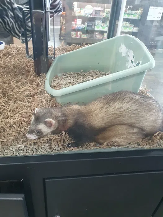 Pet Supermarket Picture 3