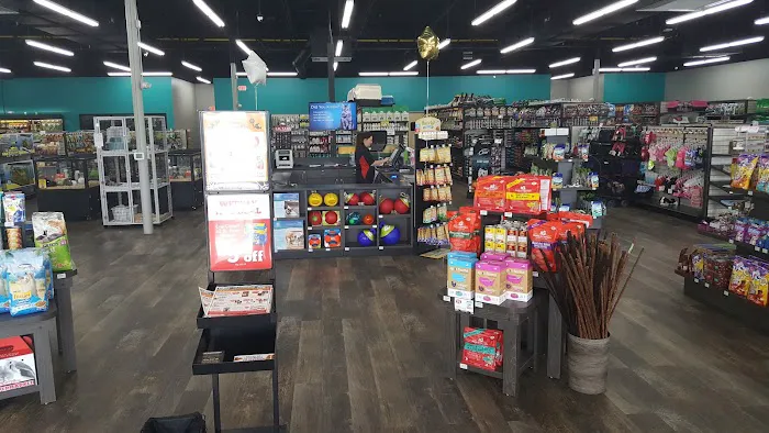 Pet Supermarket Picture 6