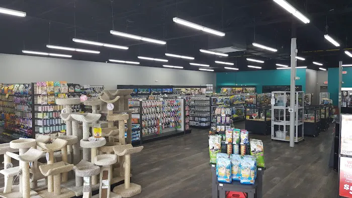 Pet Supermarket Picture 4