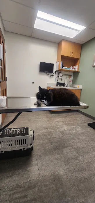 VCA Palmer Animal Hospital Picture 4