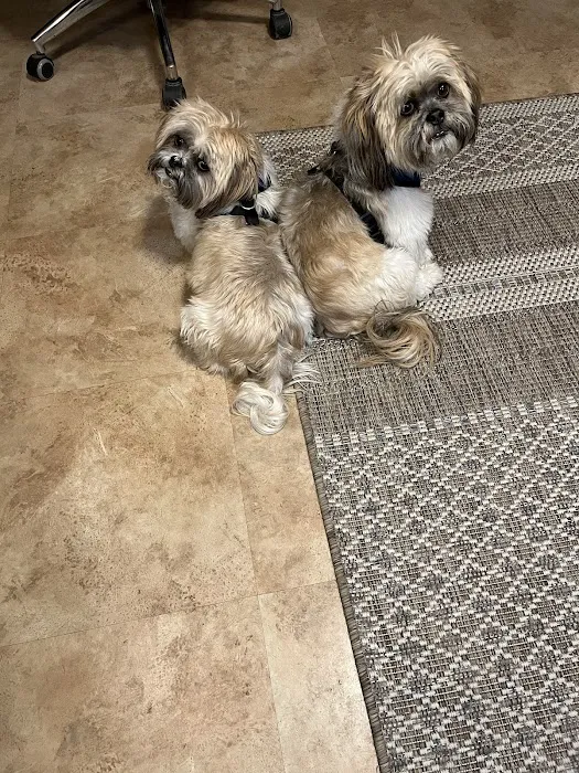 VCA Palmer Animal Hospital Picture 9