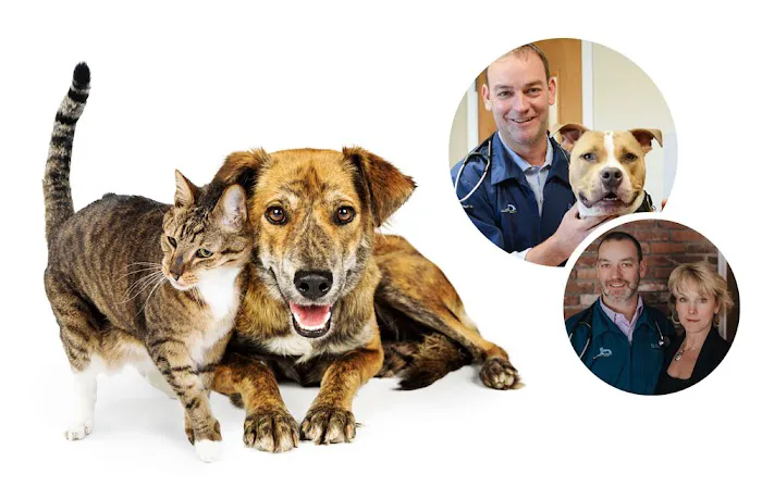 Wilbraham Animal Hospital Picture 3