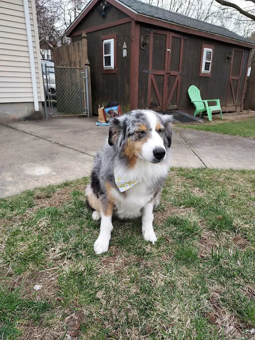 Wilbraham Animal Hospital Picture 1