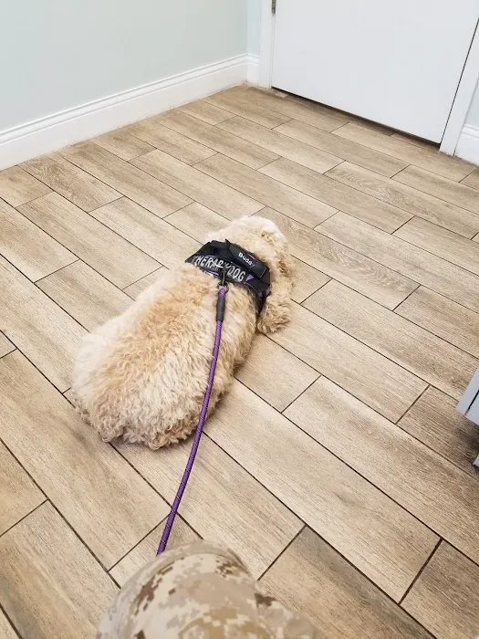 Wilbraham Animal Hospital Picture 2