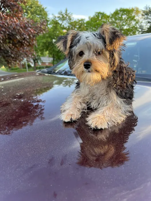 Wilbraham Animal Hospital Picture 10