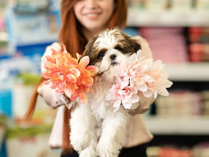 Petland Naples Picture 2