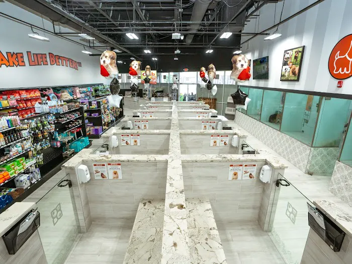 Petland Naples Picture 4